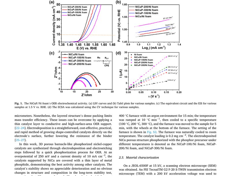 OER electrochemical activity